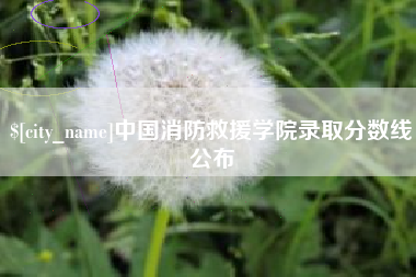 吐鲁番中国消防救援学院录取分数线公布