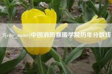 吐鲁番中国消防救援学院历年分数线