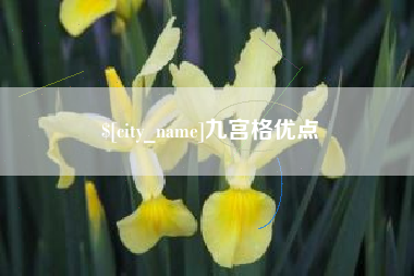 吐鲁番九宫格优点