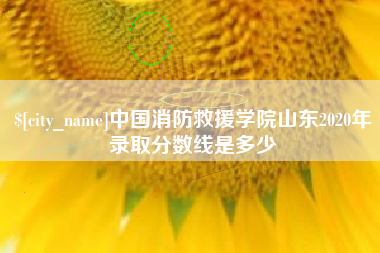 吐鲁番中国消防救援学院山东2020年录取分数线是多少