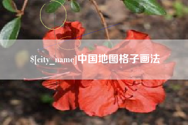 吐鲁番中国地图格子画法