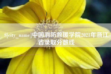 吐鲁番中国消防救援学院2021年浙江省录取分数线