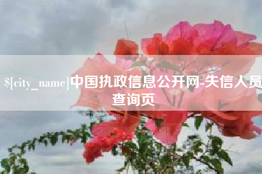 吐鲁番中国执政信息公开网-失信人员查询页