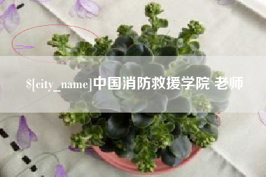 吐鲁番中国消防救援学院 老师