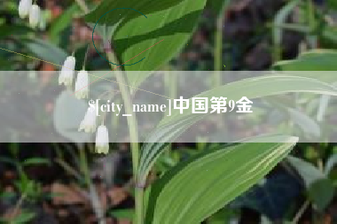 吐鲁番中国第9金