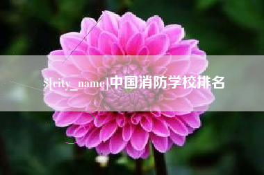 吐鲁番中国消防学校排名