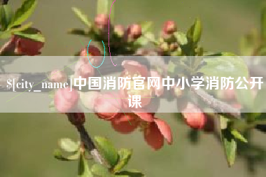 吐鲁番中国消防官网中小学消防公开课