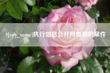 吐鲁番执行信息公开网查到的案件