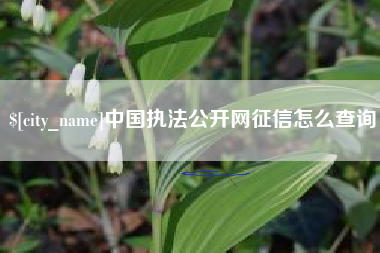 吐鲁番中国执法公开网征信怎么查询