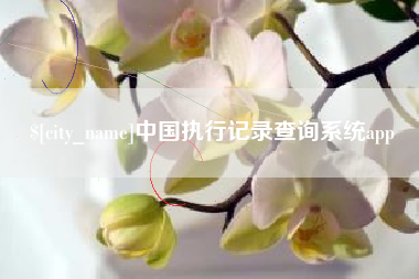 吐鲁番中国执行记录查询系统app