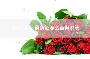 吐鲁番消防证怎么查询系统