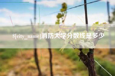吐鲁番消防大学分数线是多少