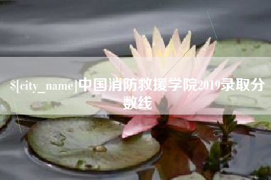 吐鲁番中国消防救援学院2019录取分数线