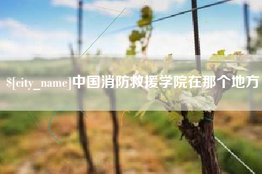 吐鲁番中国消防救援学院在那个地方