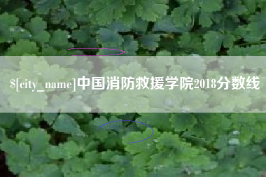 吐鲁番中国消防救援学院2018分数线