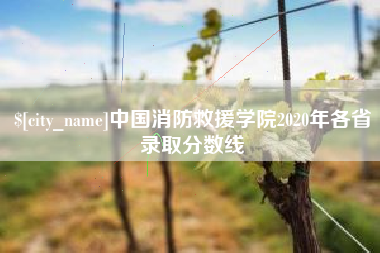 吐鲁番中国消防救援学院2020年各省录取分数线