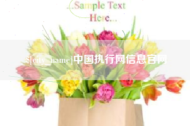吐鲁番中国执行网信息官网