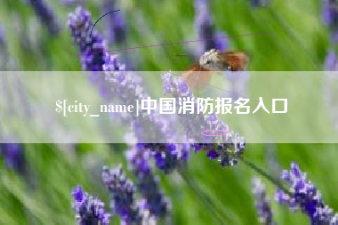 吐鲁番中国消防报名入口