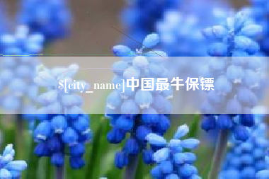 吐鲁番中国最牛保镖