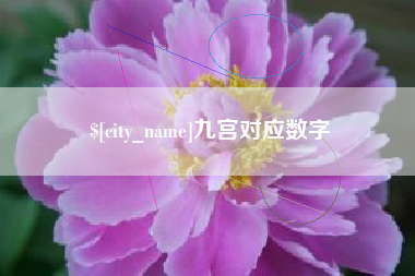 吐鲁番九宫对应数字