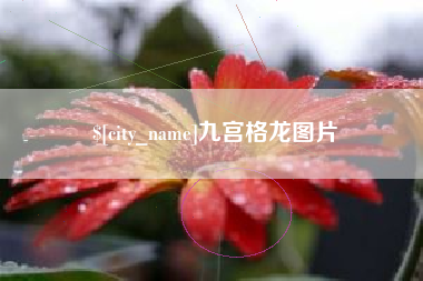 吐鲁番九宫格龙图片