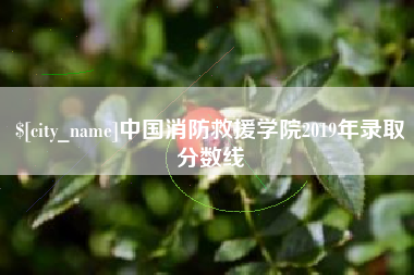 吐鲁番中国消防救援学院2019年录取分数线