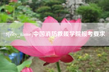 吐鲁番中国消防救援学院报考要求