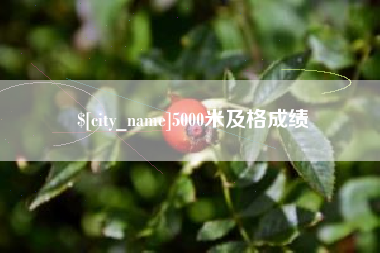 吐鲁番5000米及格成绩