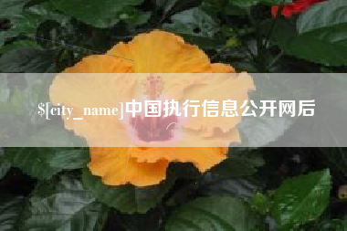 吐鲁番中国执行信息公开网后