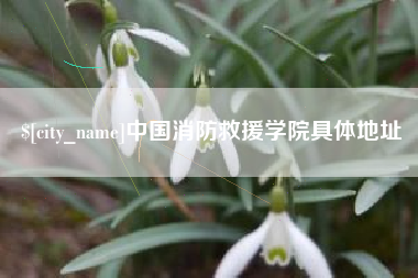 吐鲁番中国消防救援学院具体地址