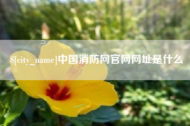 吐鲁番中国消防网官网网址是什么