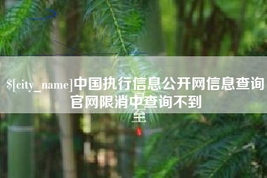 吐鲁番中国执行信息公开网信息查询官网限消中查询不到