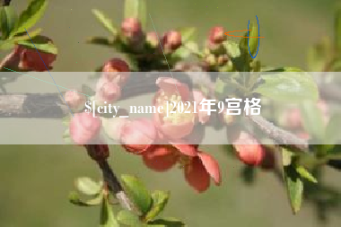 吐鲁番2021年9宫格