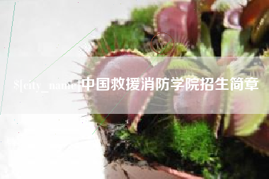 吐鲁番中国救援消防学院招生简章