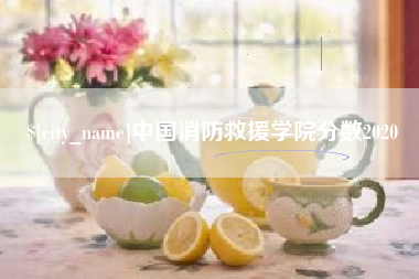 吐鲁番中国消防救援学院分数2020