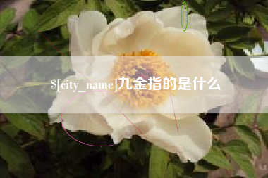 吐鲁番九金指的是什么