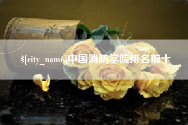 吐鲁番中国消防学院排名前十