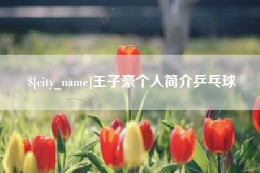 吐鲁番王子豪个人简介乒乓球