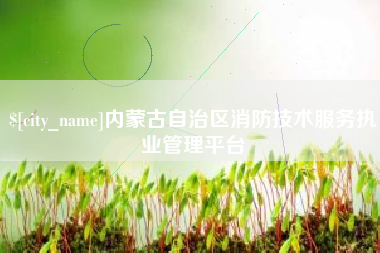 吐鲁番内蒙古自治区消防技术服务执业管理平台