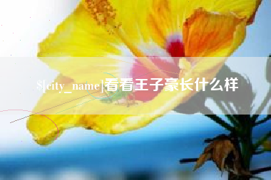 吐鲁番看看王子豪长什么样
