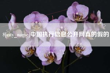 吐鲁番中国执行信息公开网真的假的