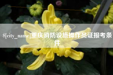 吐鲁番重庆消防设施操作员证报考条件