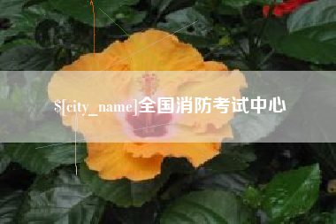 吐鲁番全国消防考试中心