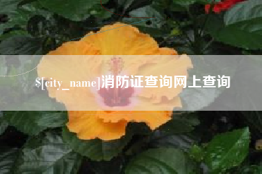 吐鲁番消防证查询网上查询