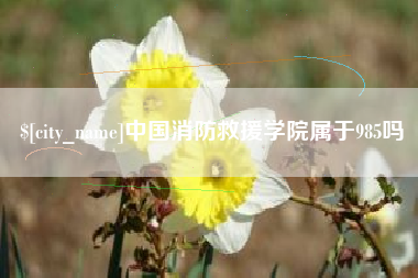 吐鲁番中国消防救援学院属于985吗
