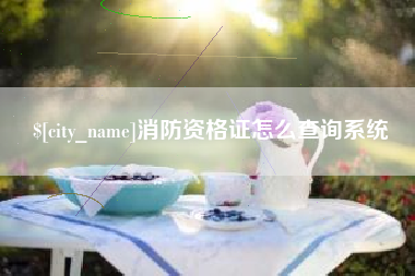 吐鲁番消防资格证怎么查询系统
