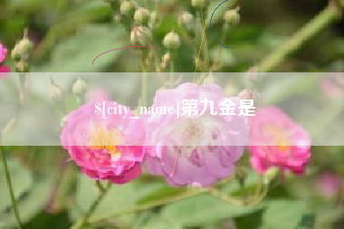 吐鲁番第九金是