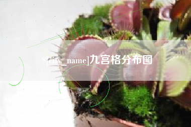 吐鲁番九宫格分布图