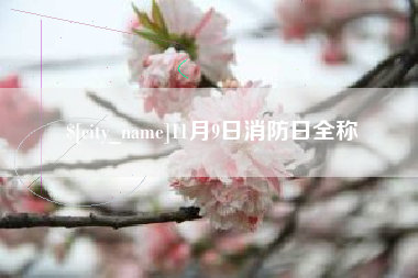 吐鲁番11月9日消防日全称