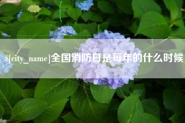 吐鲁番全国消防日是每年的什么时候